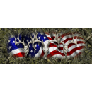 American Buck Tailgate 003
